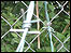 Barbed-wire