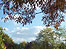 Crystal Palace park in autumn