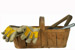 Gardening tools
