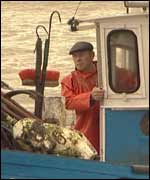 Fisherman