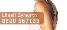 Lein cymorth 