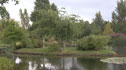 Hilary Barnes's garden