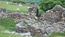 Huw Tom's house
