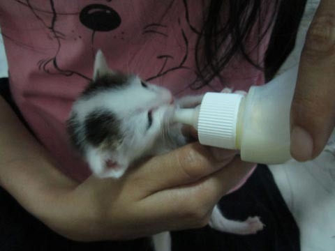 Feeding her