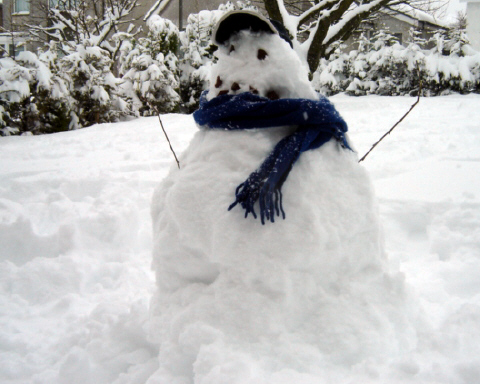 our wee snowman