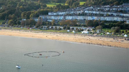 surfer_chain_houses.jpg