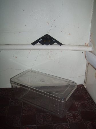 glassbat1.jpg