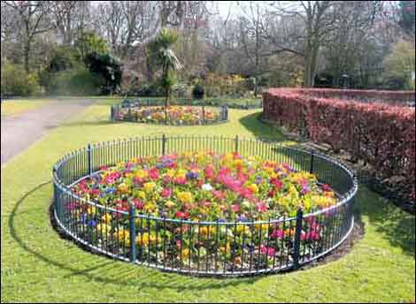 Flowers in park