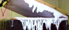 Cryonic cooling chamber
