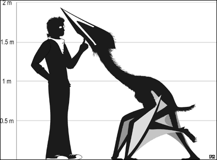 pterosaur_pa_424.gif