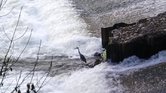 Black weir