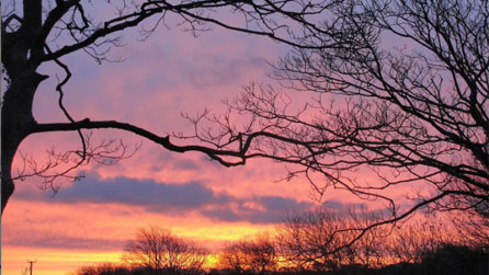 sunrise_ann_riggs.jpg