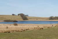 Llyn Eiddwen