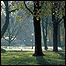 Parque de Londres