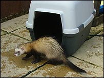 Out for a stroll