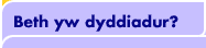 Beth yw dyddiadur?