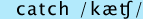 phonemic symbols