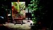 The painter's garden with dog 