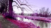 Pink river