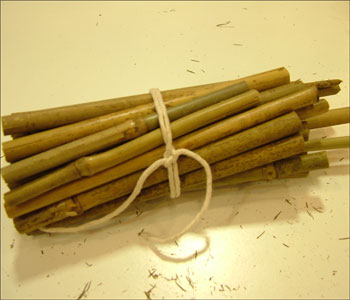 Bundle of canes