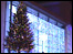 Ballymena Lights