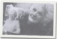 'Anti Enid'