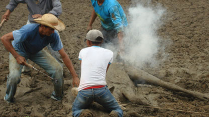 Cowboys branding cattle in Altamira
