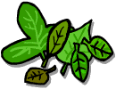 Leaf pressing