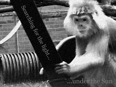 Searching for the light