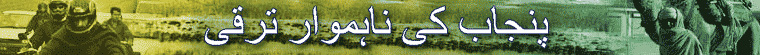 پنجاب کی ناہموار ترقی