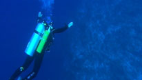 Paul Rose drift diving in the Gulf Stream