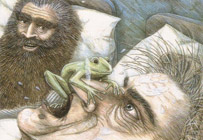 frog.jpg