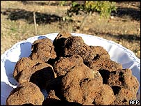 Trufas