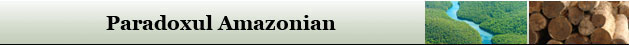 banner Amazon