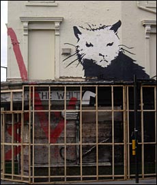catratbanksy.jpg