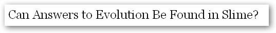 New York Times headline