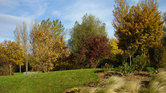 Beautiful park...