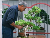 A prized specimen 