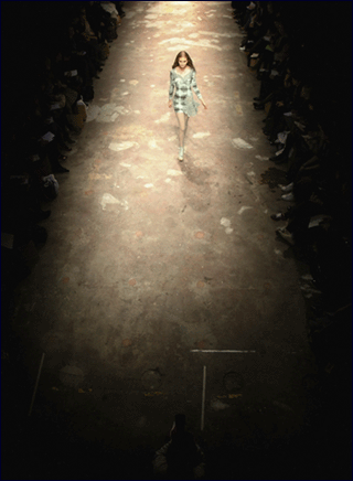 lfwblog.gif