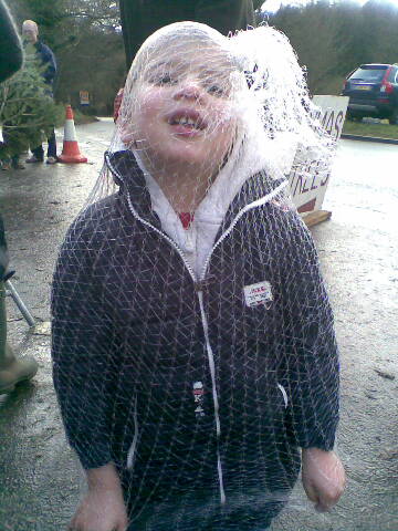 Image208.jpg