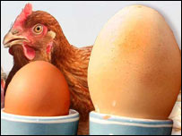 Big Egg