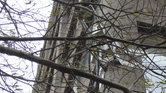 CCTV Tree