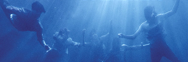 Foals
