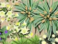 DHL Planting Plan