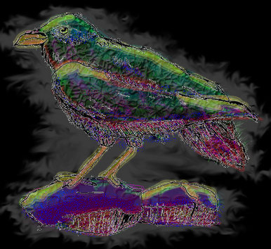 Raven