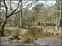 Ober Water