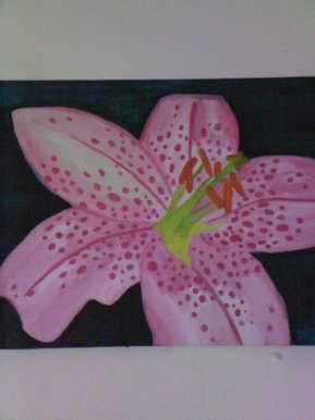 The lily