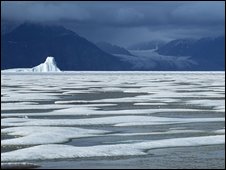 polar ice