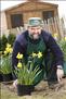 Getting up close and personal with his daffs.