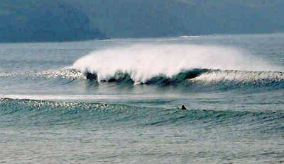 www.surfguru.dot.nu.